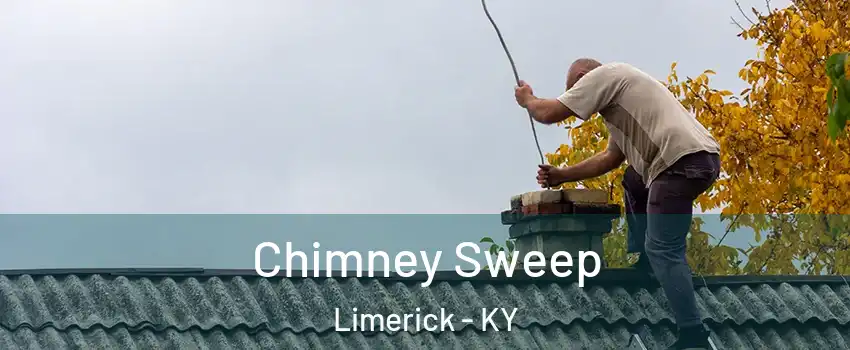 Chimney Sweep Limerick - KY