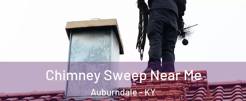 Chimney Sweep Near Me Auburndale - KY