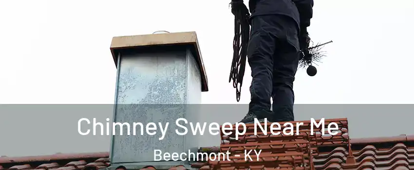 Chimney Sweep Near Me Beechmont - KY