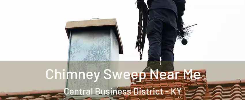 Chimney Sweep Near Me Central Business District - KY