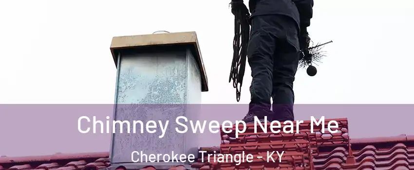 Chimney Sweep Near Me Cherokee Triangle - KY