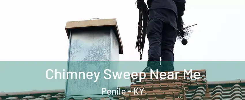 Chimney Sweep Near Me Penile - KY