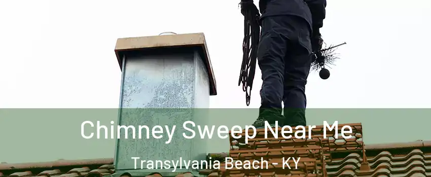 Chimney Sweep Near Me Transylvania Beach - KY