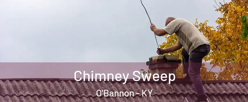 Chimney Sweep O'Bannon - KY