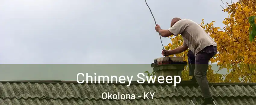 Chimney Sweep Okolona - KY