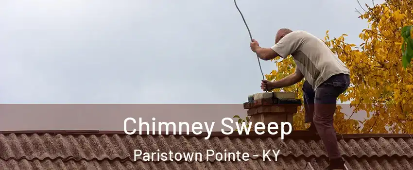 Chimney Sweep Paristown Pointe - KY