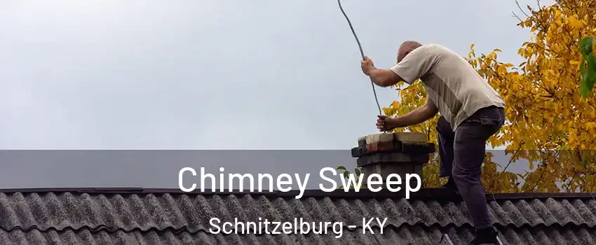 Chimney Sweep Schnitzelburg - KY