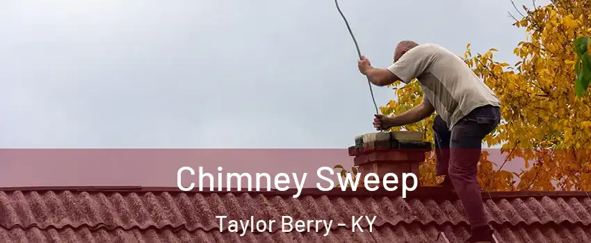 Chimney Sweep Taylor Berry - KY