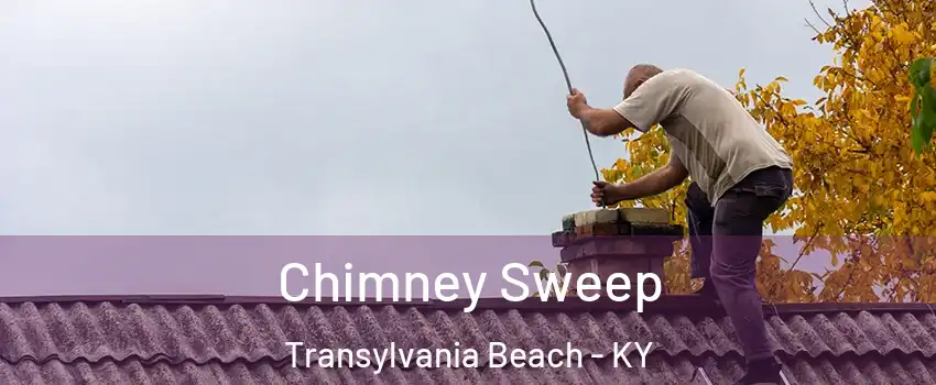 Chimney Sweep Transylvania Beach - KY