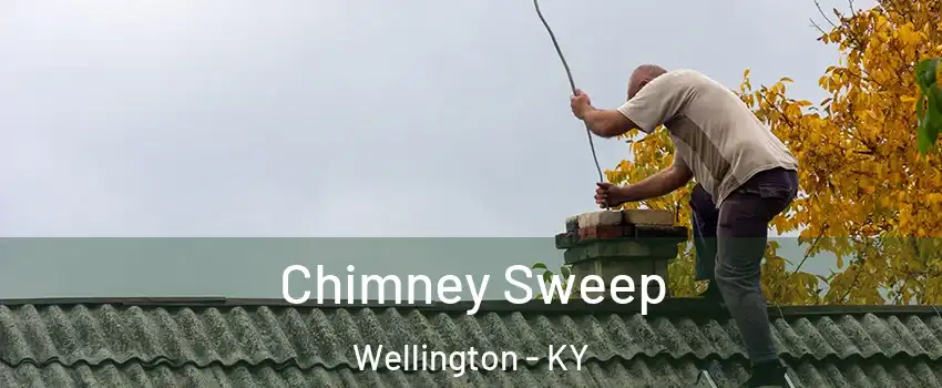 Chimney Sweep Wellington - KY