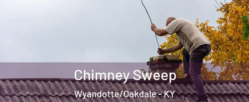 Chimney Sweep Wyandotte/Oakdale - KY