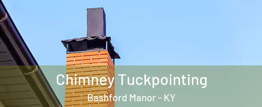 Chimney Tuckpointing Bashford Manor - KY