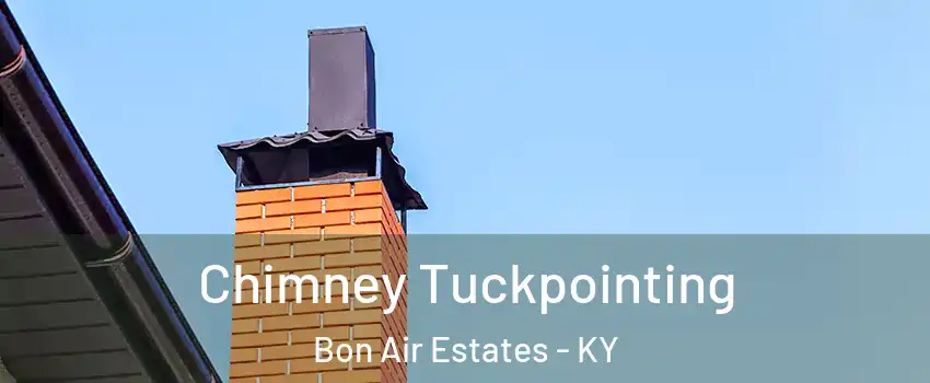 Chimney Tuckpointing Bon Air Estates - KY