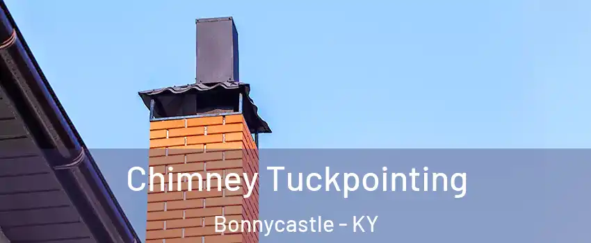 Chimney Tuckpointing Bonnycastle - KY