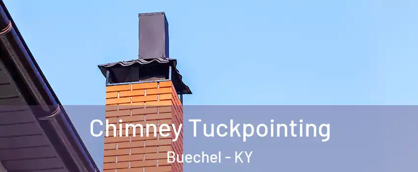 Chimney Tuckpointing Buechel - KY