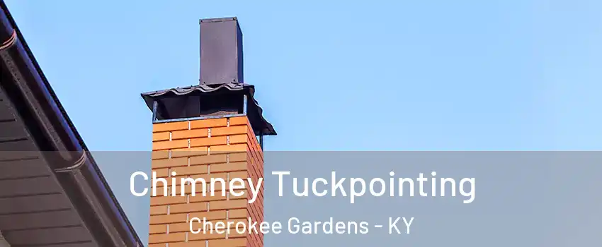 Chimney Tuckpointing Cherokee Gardens - KY