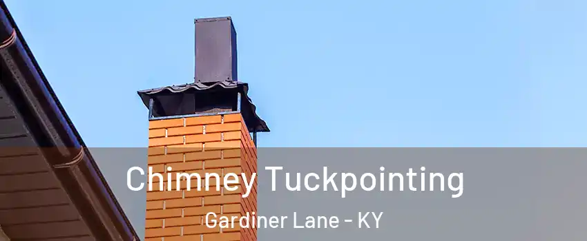 Chimney Tuckpointing Gardiner Lane - KY