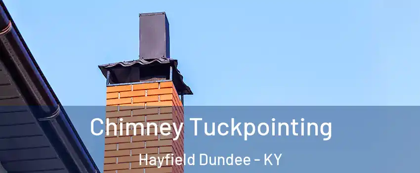 Chimney Tuckpointing Hayfield Dundee - KY