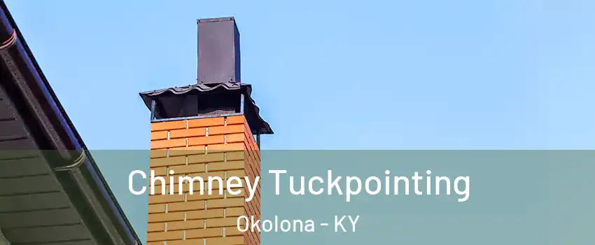 Chimney Tuckpointing Okolona - KY