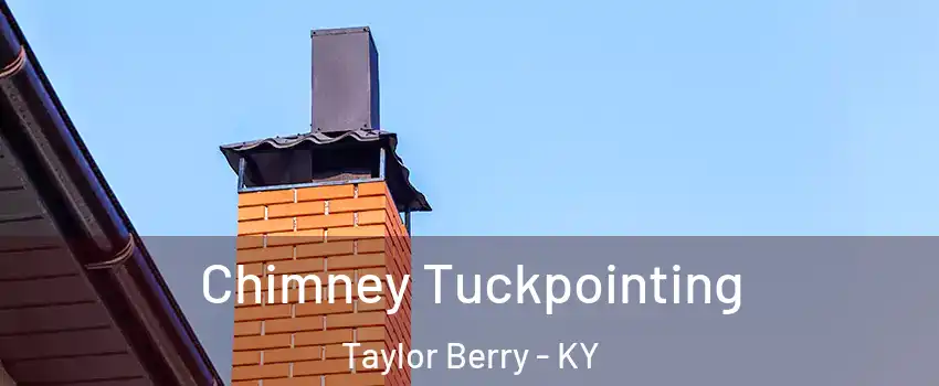 Chimney Tuckpointing Taylor Berry - KY