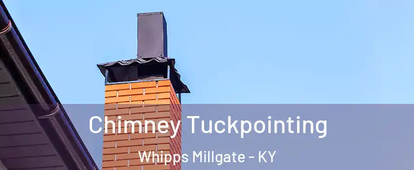 Chimney Tuckpointing Whipps Millgate - KY