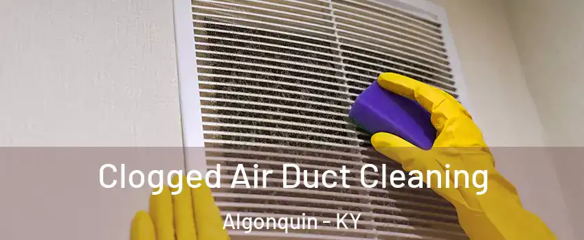 Clogged Air Duct Cleaning Algonquin - KY