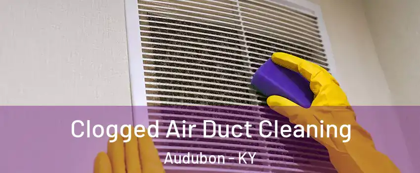 Clogged Air Duct Cleaning Audubon - KY