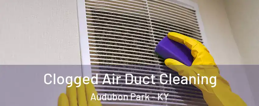 Clogged Air Duct Cleaning Audubon Park - KY