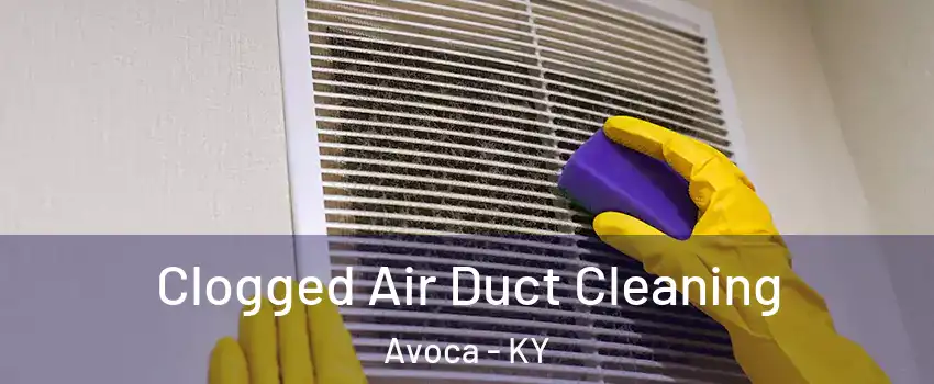 Clogged Air Duct Cleaning Avoca - KY