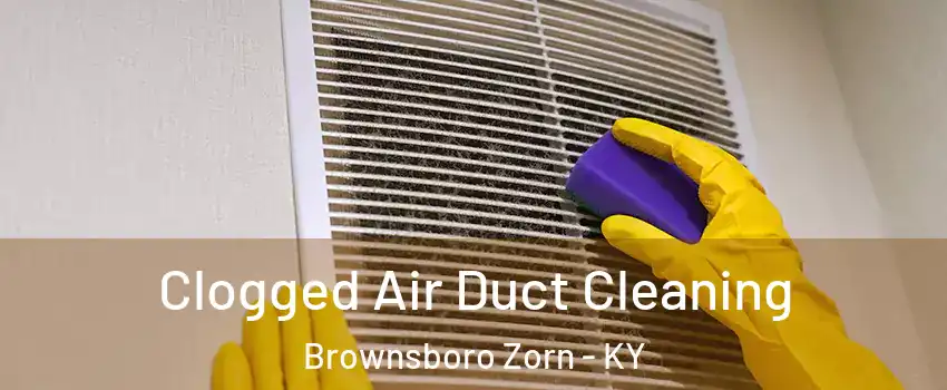 Clogged Air Duct Cleaning Brownsboro Zorn - KY