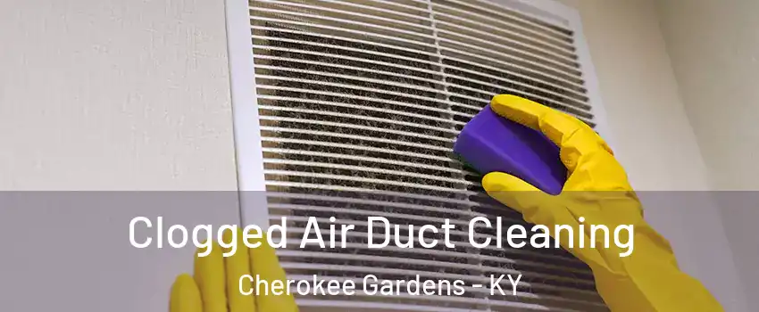 Clogged Air Duct Cleaning Cherokee Gardens - KY