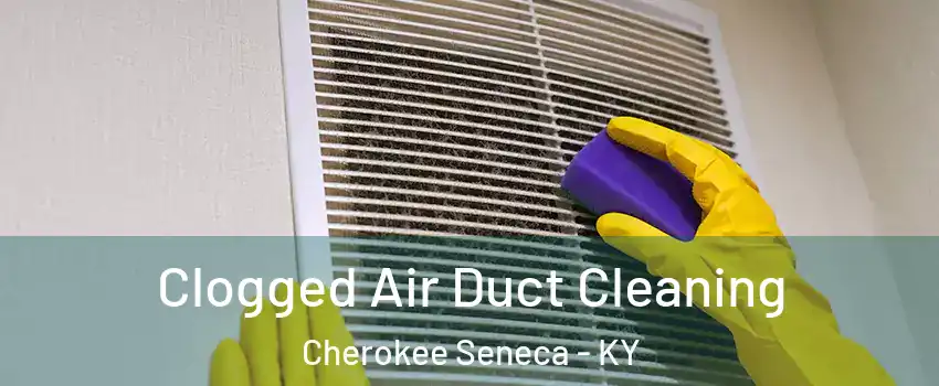 Clogged Air Duct Cleaning Cherokee Seneca - KY