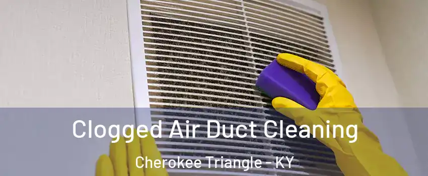 Clogged Air Duct Cleaning Cherokee Triangle - KY