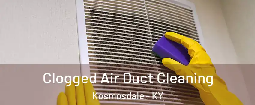 Clogged Air Duct Cleaning Kosmosdale - KY