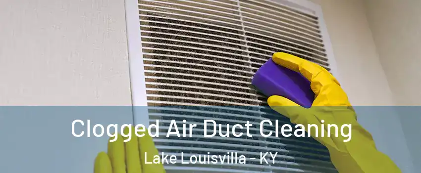 Clogged Air Duct Cleaning Lake Louisvilla - KY