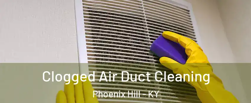 Clogged Air Duct Cleaning Phoenix Hill - KY