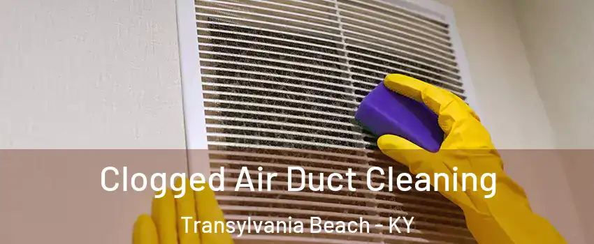 Clogged Air Duct Cleaning Transylvania Beach - KY