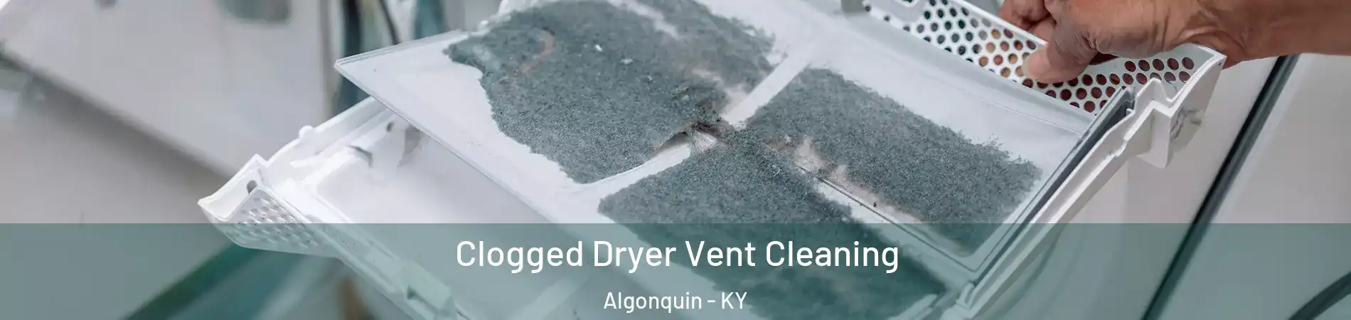 Clogged Dryer Vent Cleaning Algonquin - KY