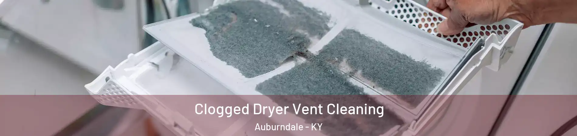 Clogged Dryer Vent Cleaning Auburndale - KY