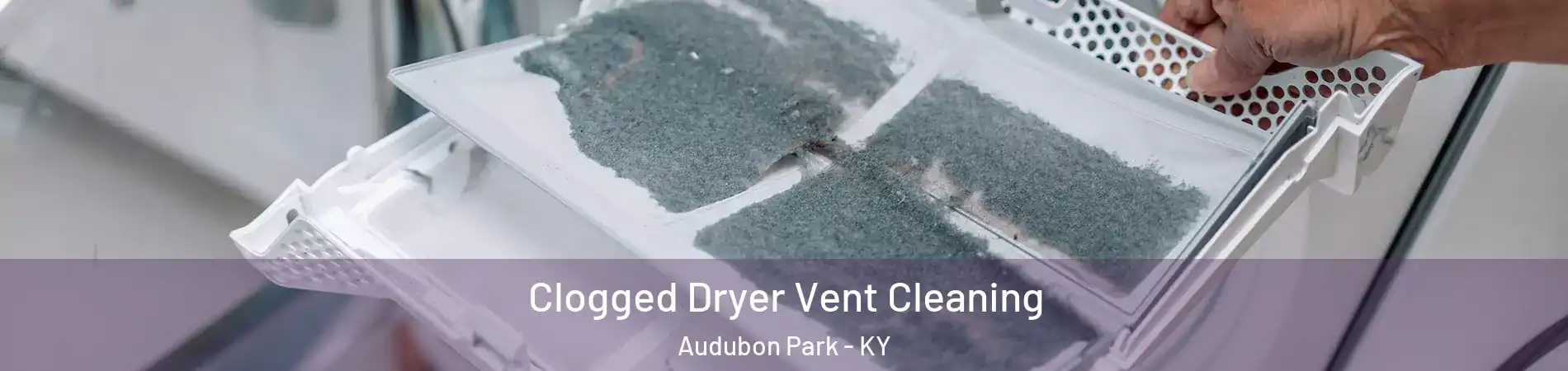 Clogged Dryer Vent Cleaning Audubon Park - KY