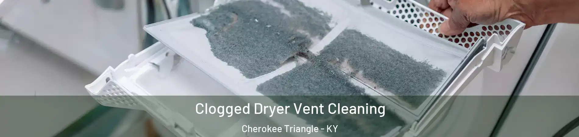 Clogged Dryer Vent Cleaning Cherokee Triangle - KY