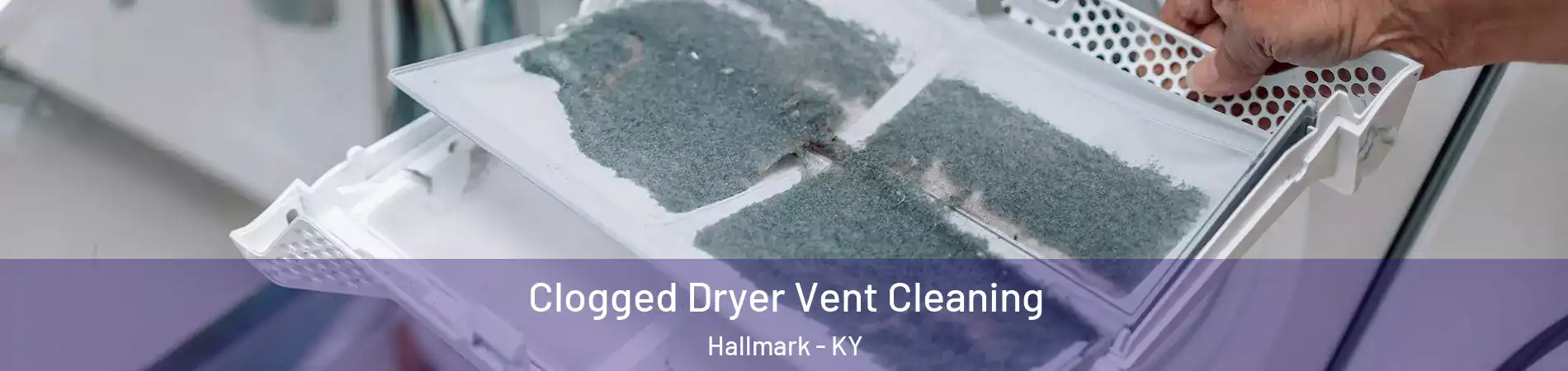 Clogged Dryer Vent Cleaning Hallmark - KY