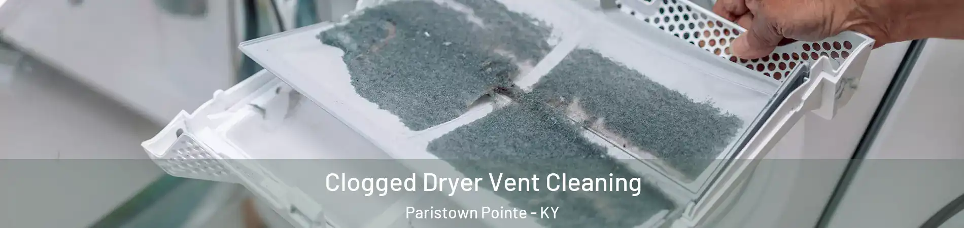 Clogged Dryer Vent Cleaning Paristown Pointe - KY