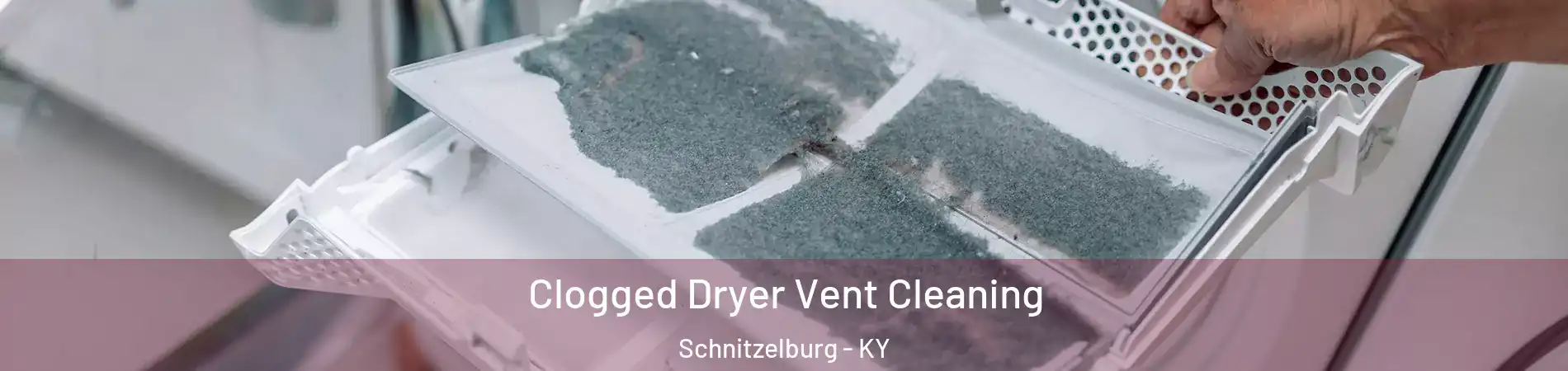 Clogged Dryer Vent Cleaning Schnitzelburg - KY