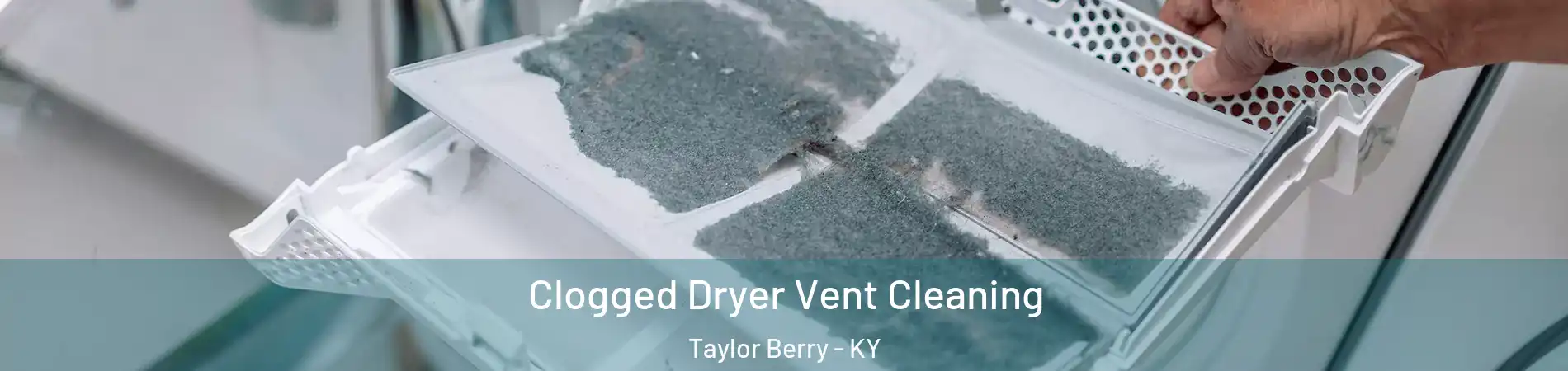 Clogged Dryer Vent Cleaning Taylor Berry - KY