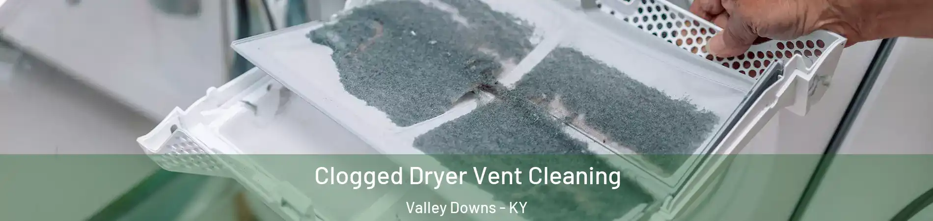 Clogged Dryer Vent Cleaning Valley Downs - KY