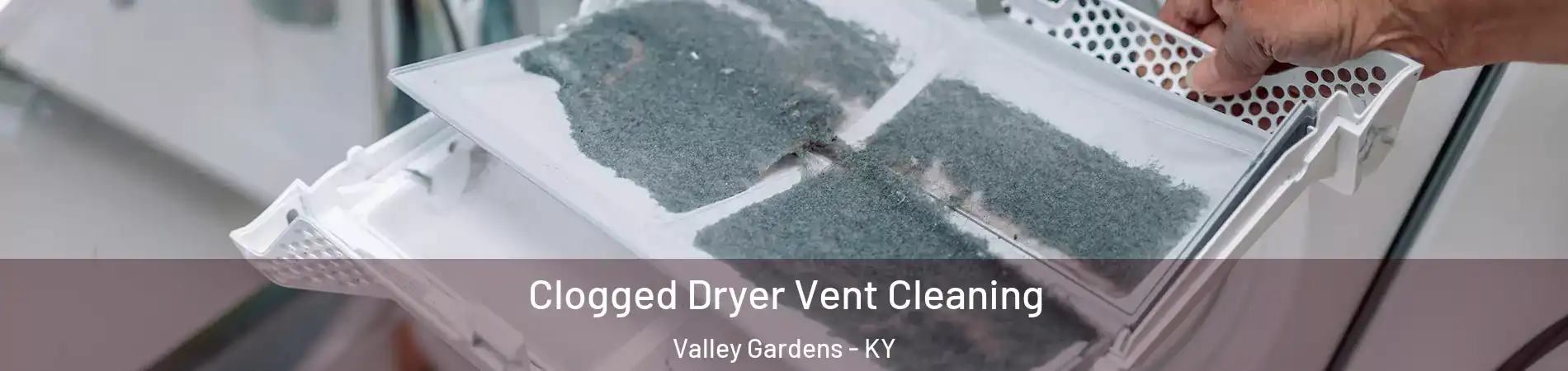 Clogged Dryer Vent Cleaning Valley Gardens - KY