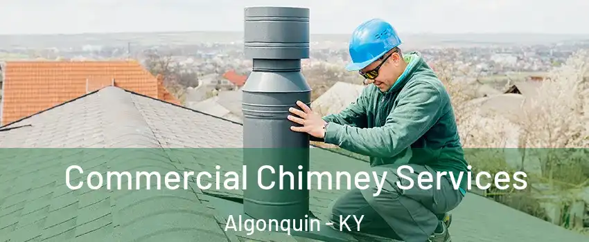 Commercial Chimney Services Algonquin - KY