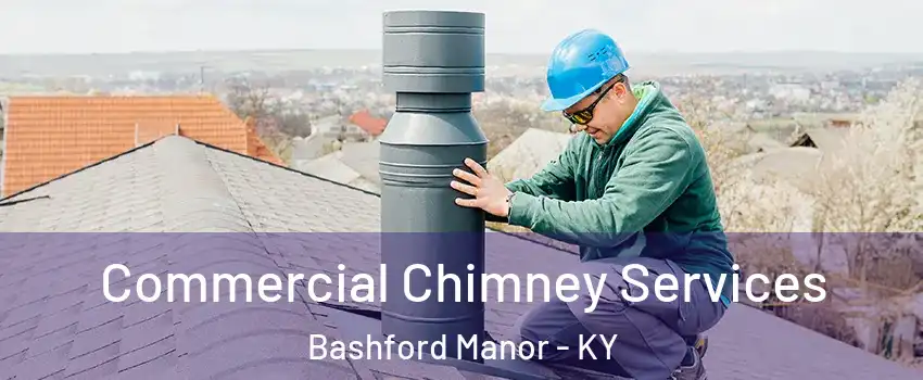 Commercial Chimney Services Bashford Manor - KY