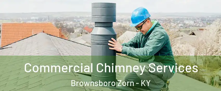 Commercial Chimney Services Brownsboro Zorn - KY